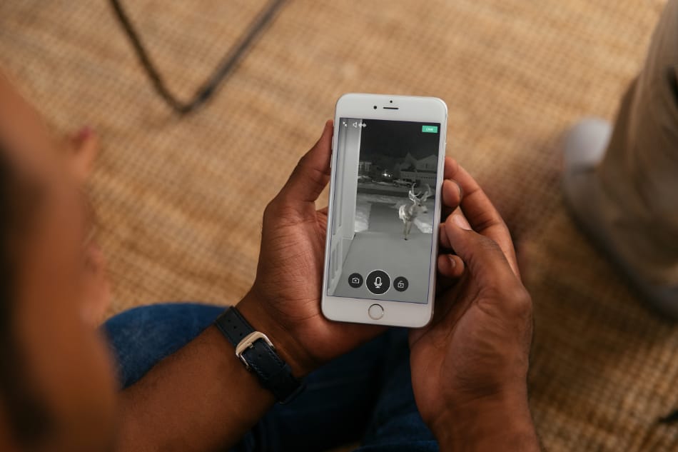 Albany OR security system